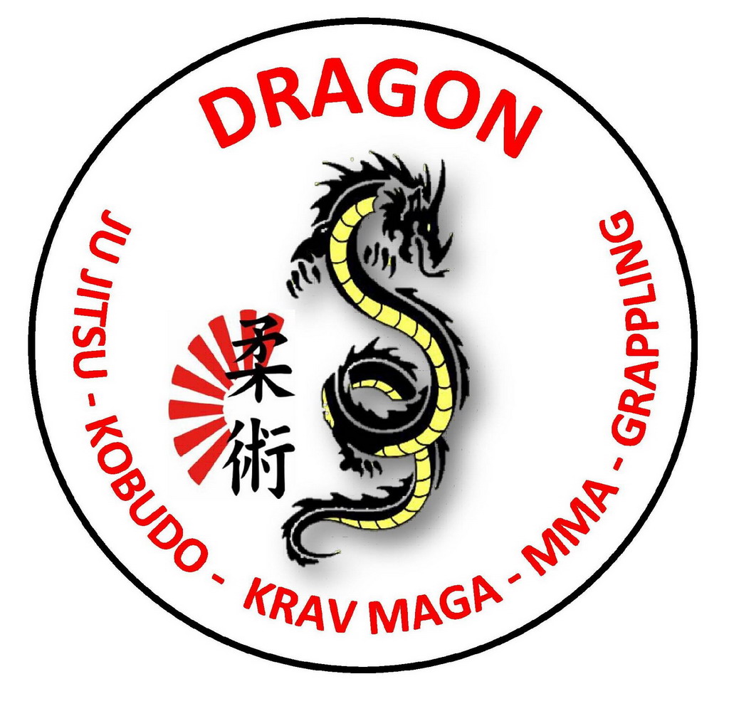 Dragon Ju Jitsu Dojo palestra arti marziali_001
